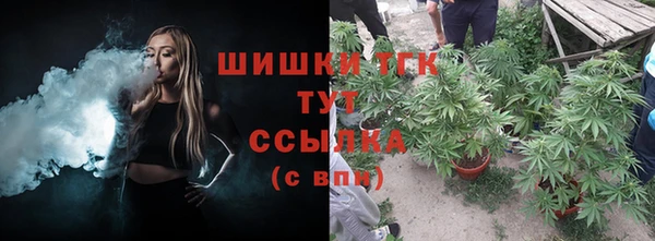 гидропоника Белая Холуница